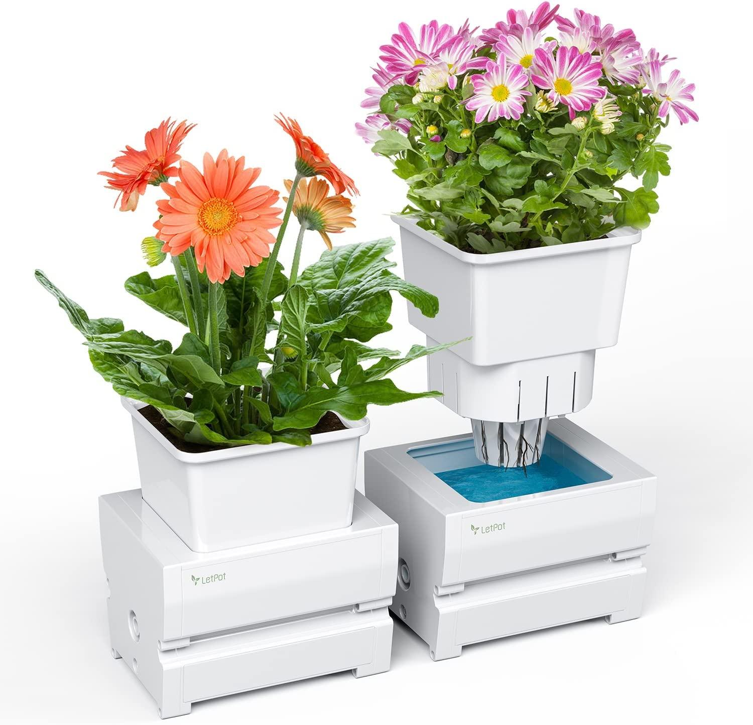 Comparing Smart Planters, Watering Systems & Hydroponics